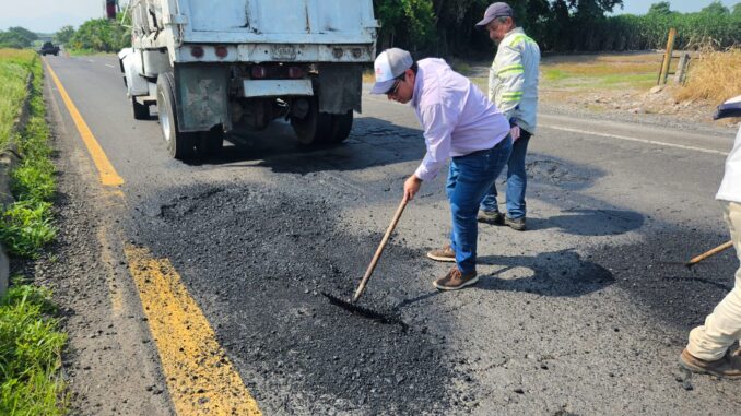 BACHEO 1