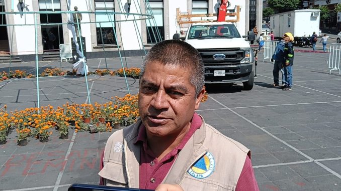 WhatsApp Image 2025-10-29 at 11.41.47 AM